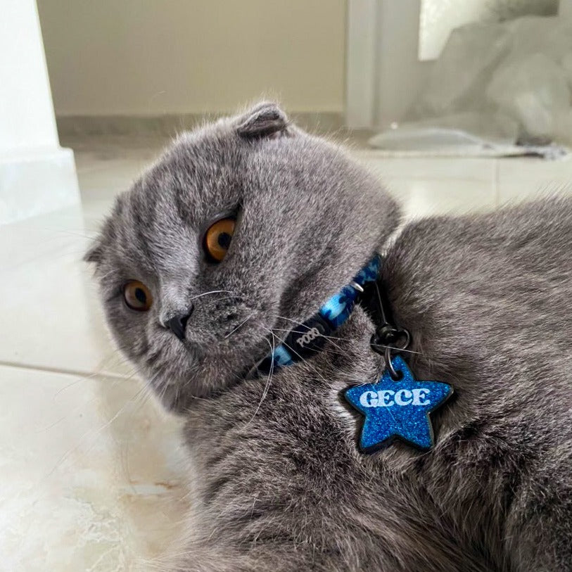 BlueFit | Kedi Tasması