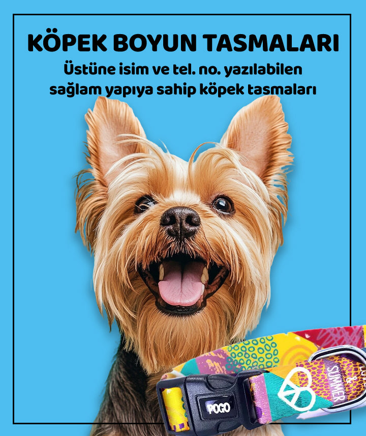 Köpek Boyun