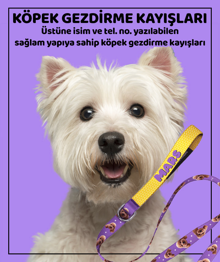 Köpek Gezdirme