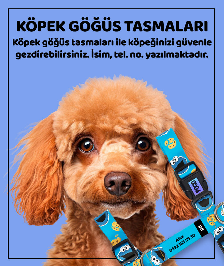 Köpek Göğüs