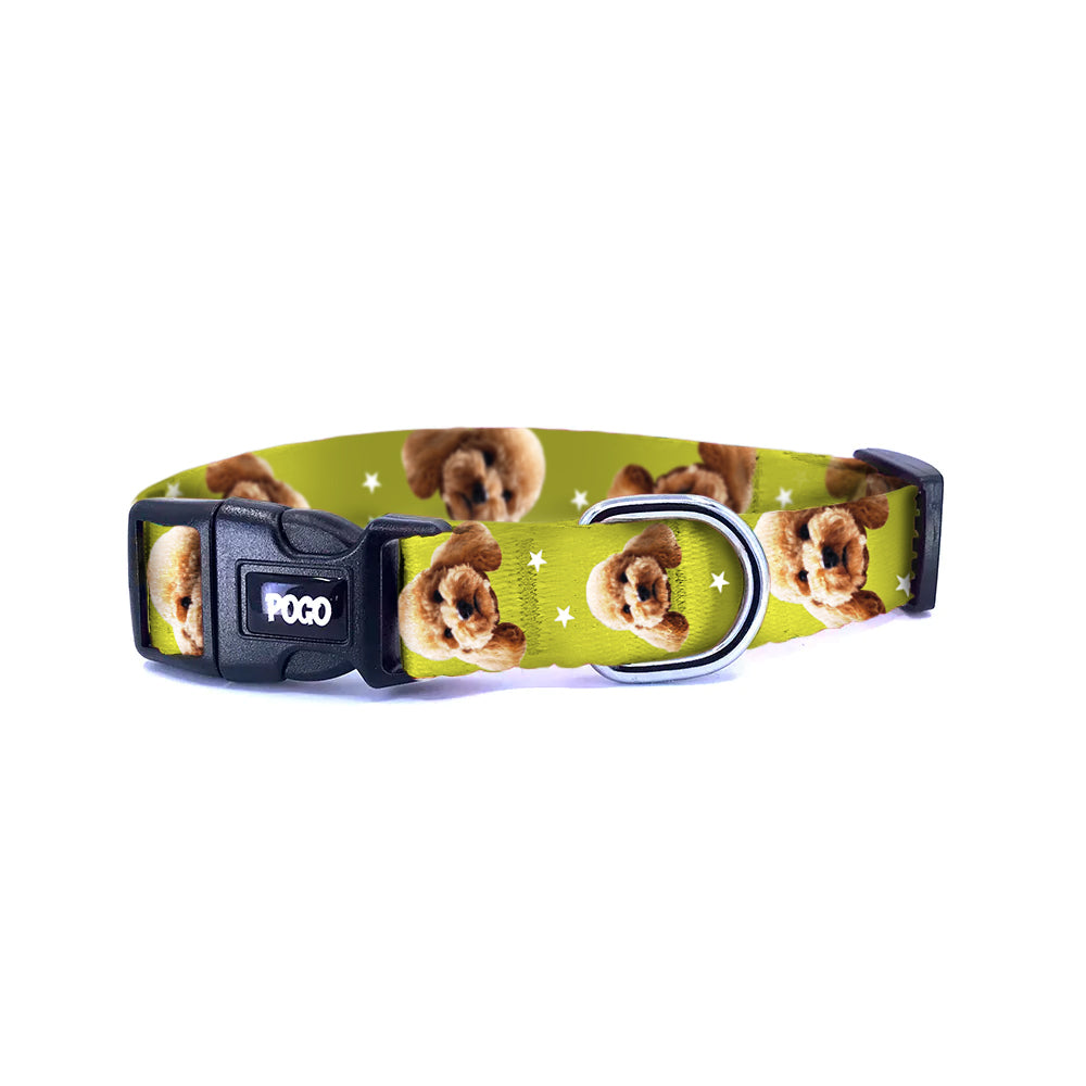 Vesikalık Zeytin Yeşili | Köpek Tasması