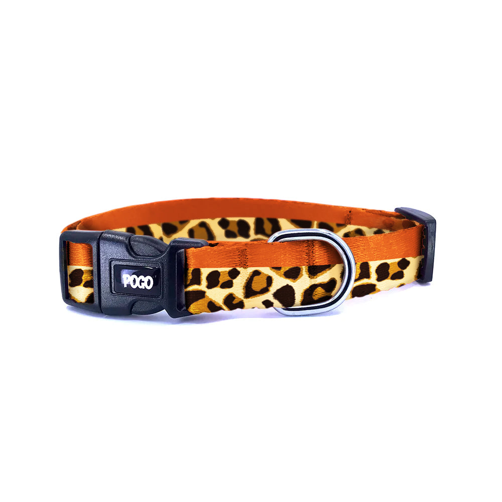 Leopard Turuncu | Köpek Tasması