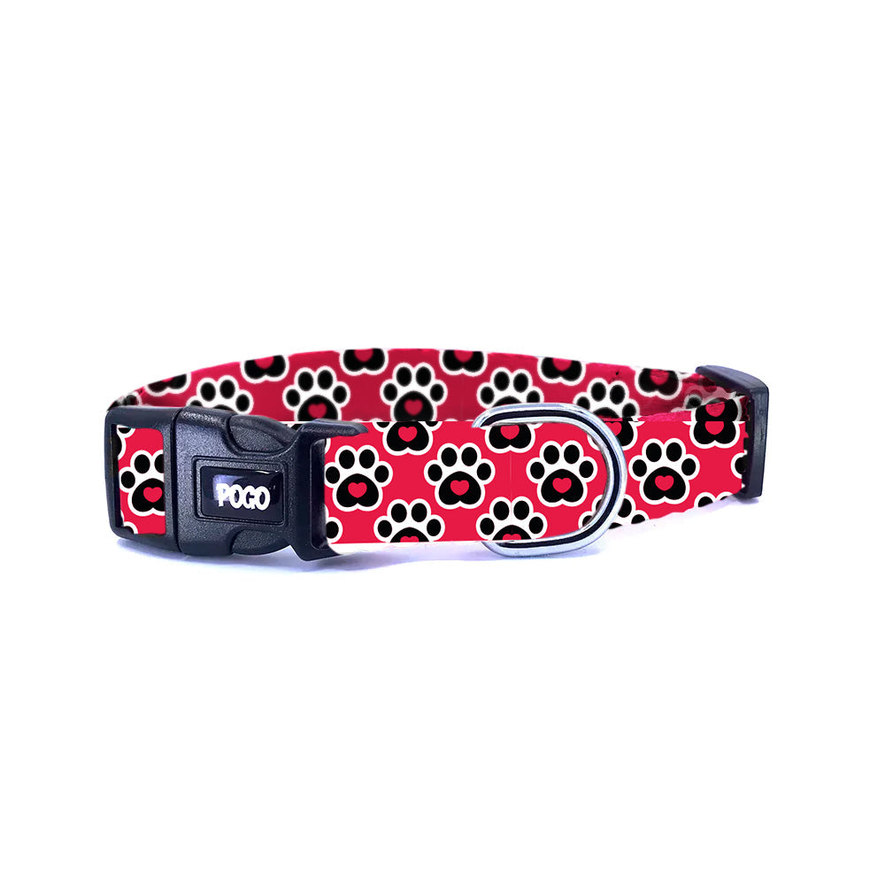 RedPaws | Köpek Tasması