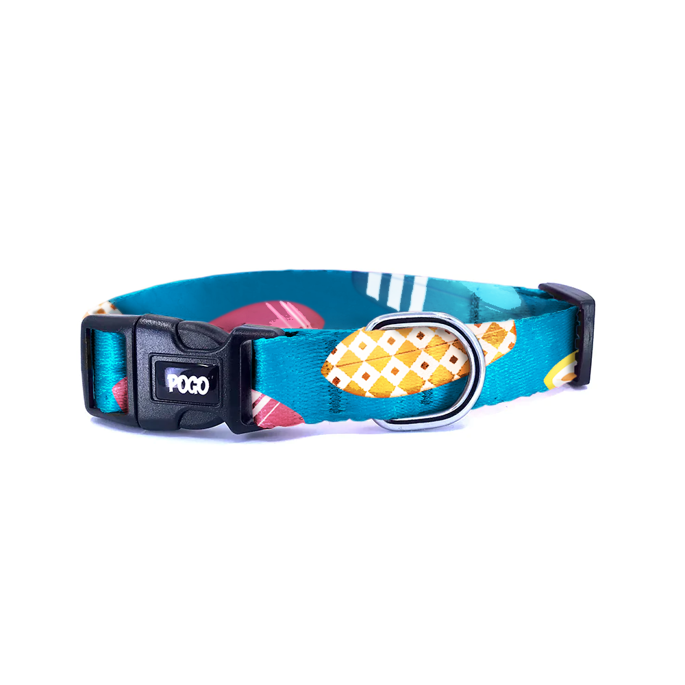 Surf | Köpek Tasması