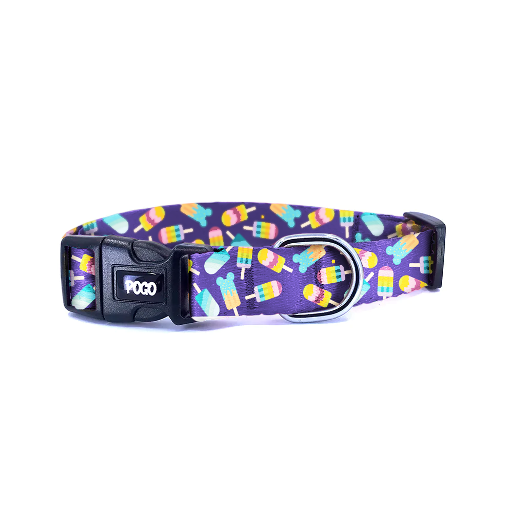 Colorful Cream | Köpek Tasması