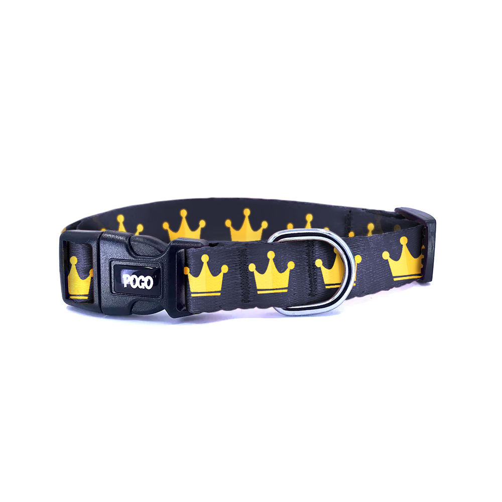 Royal King | Köpek Tasması