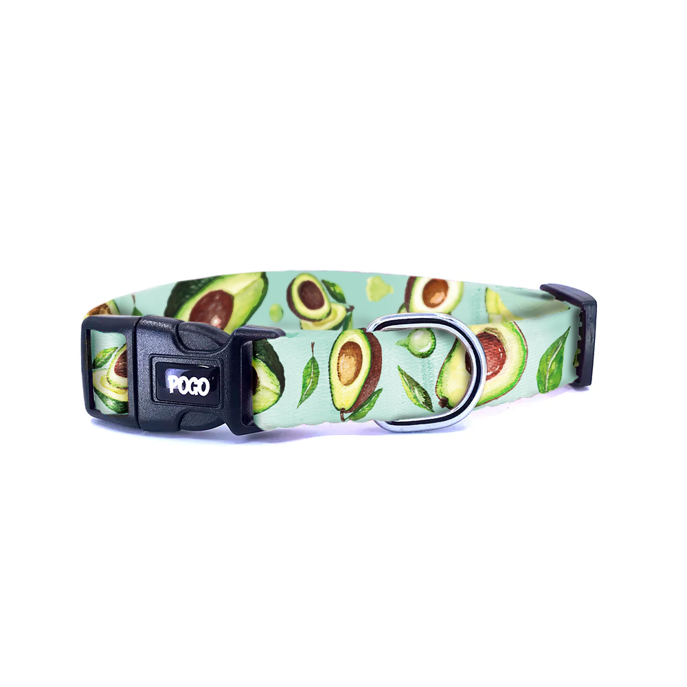 Avocado | Köpek Tasması