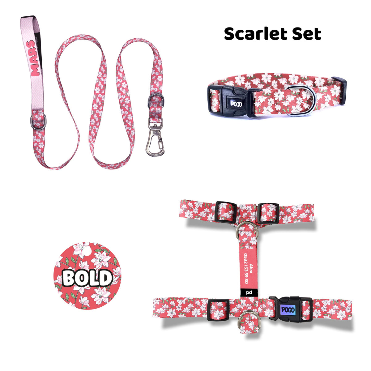 Scarlet | Tasma ve Künye Seti
