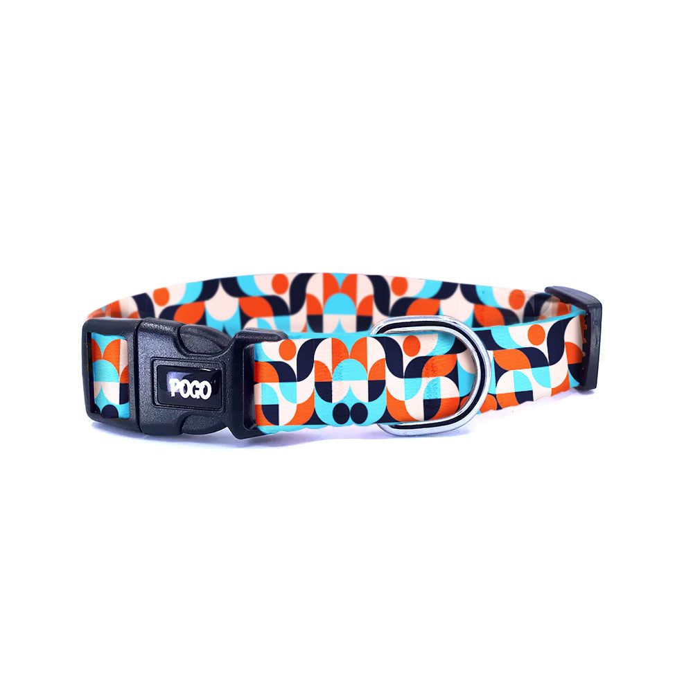Orbit | Köpek Tasması
