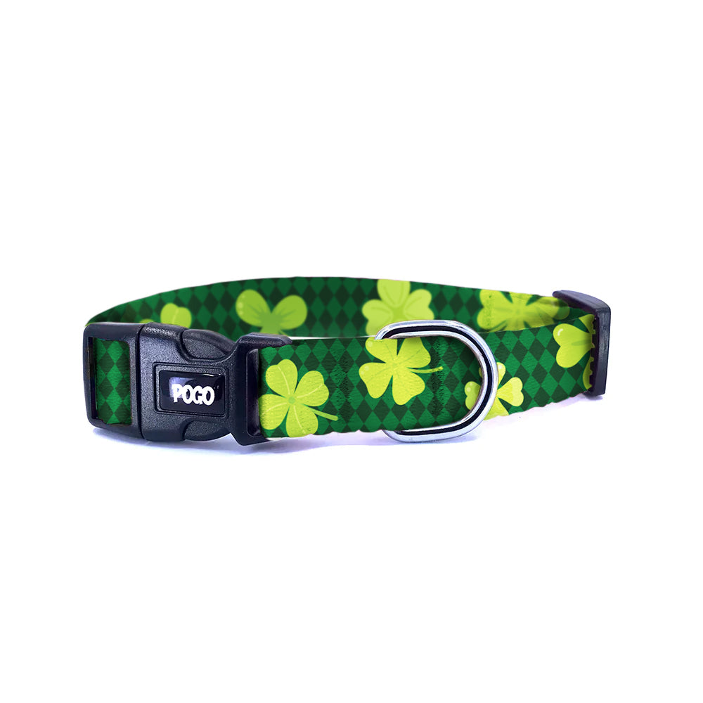 Clover | Köpek Tasması