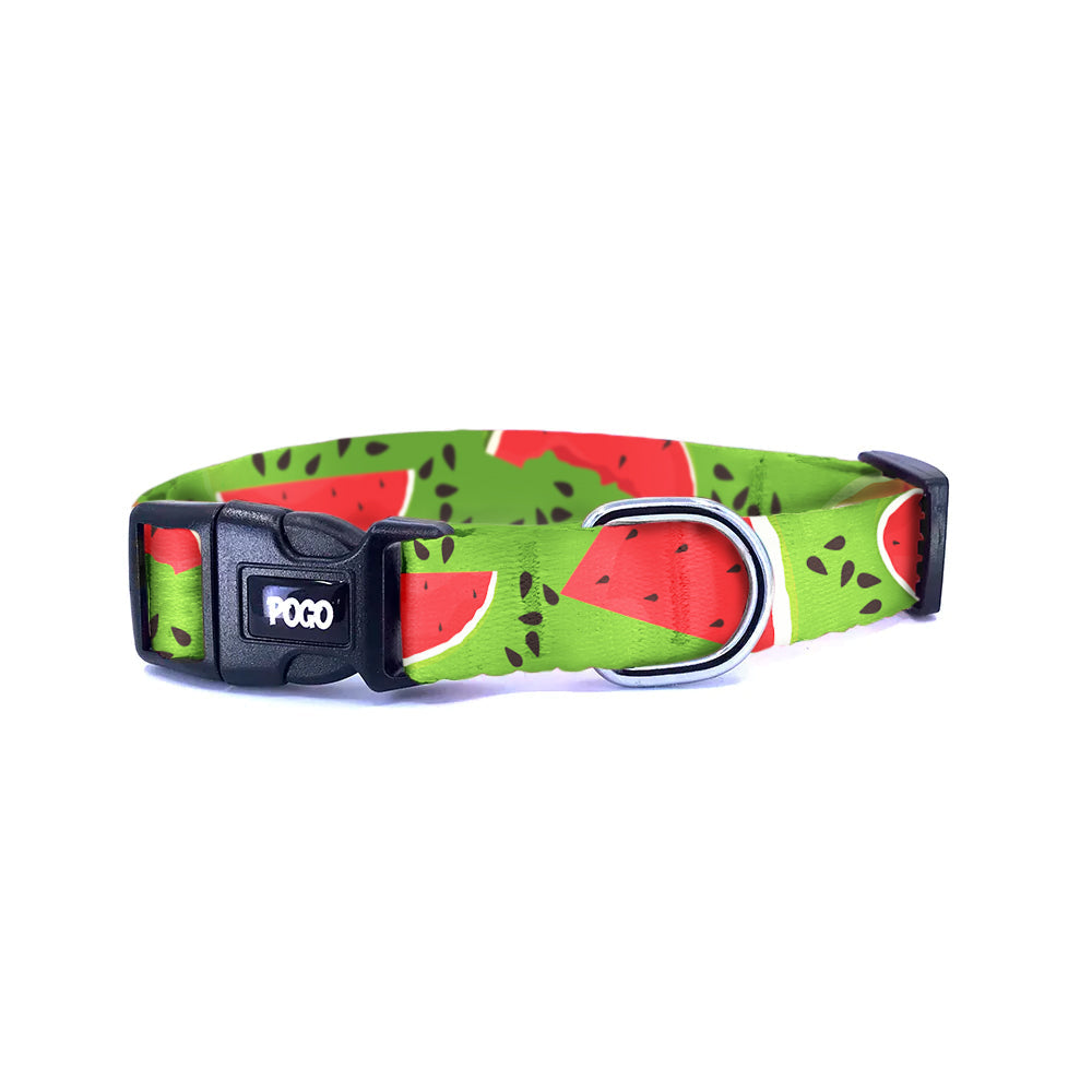 Watermelon | Köpek Tasması