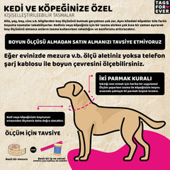 Crazy! | Köpek Tasması