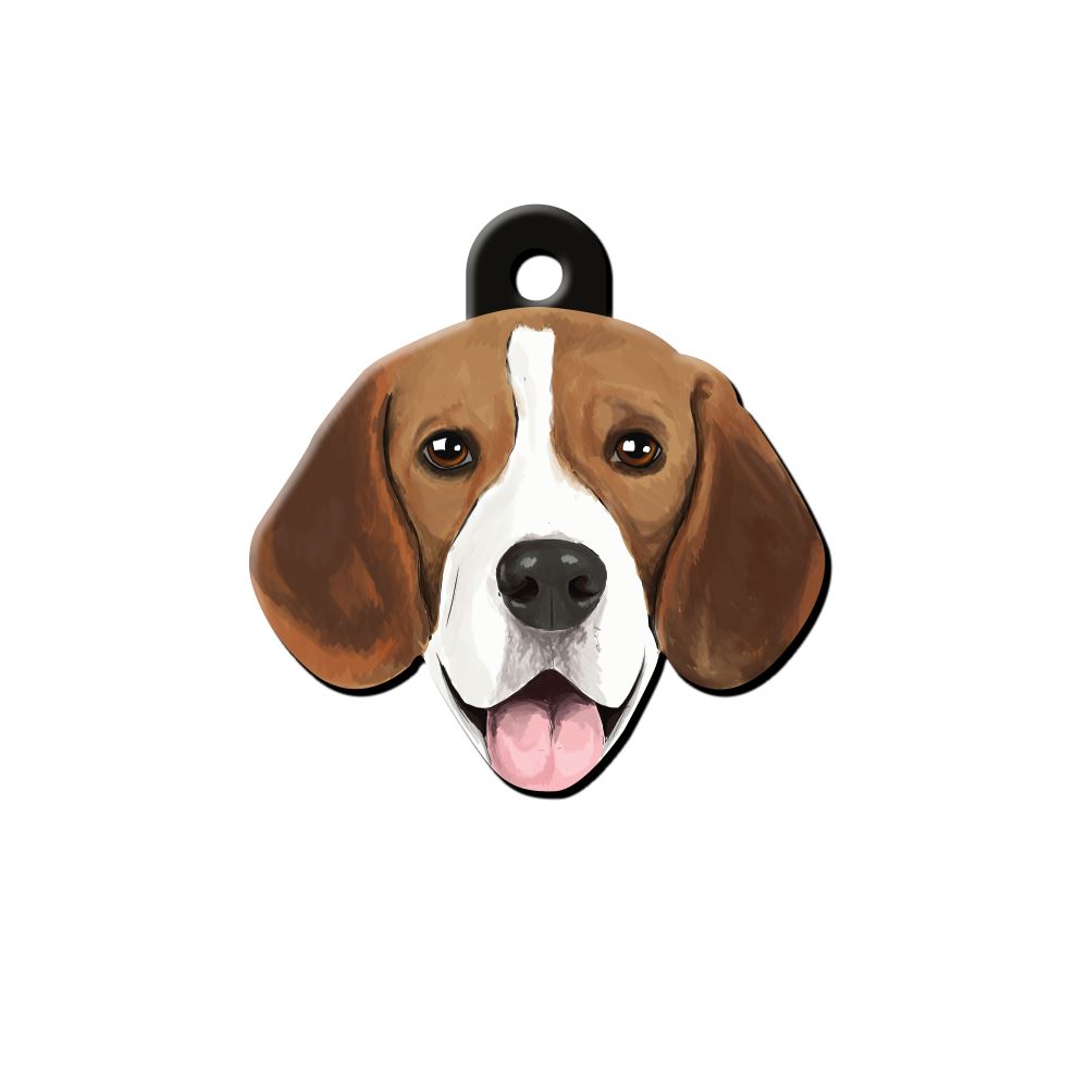Beagle Cinsi | Köpek İsimlik Köpek Cinsleri TagsForever