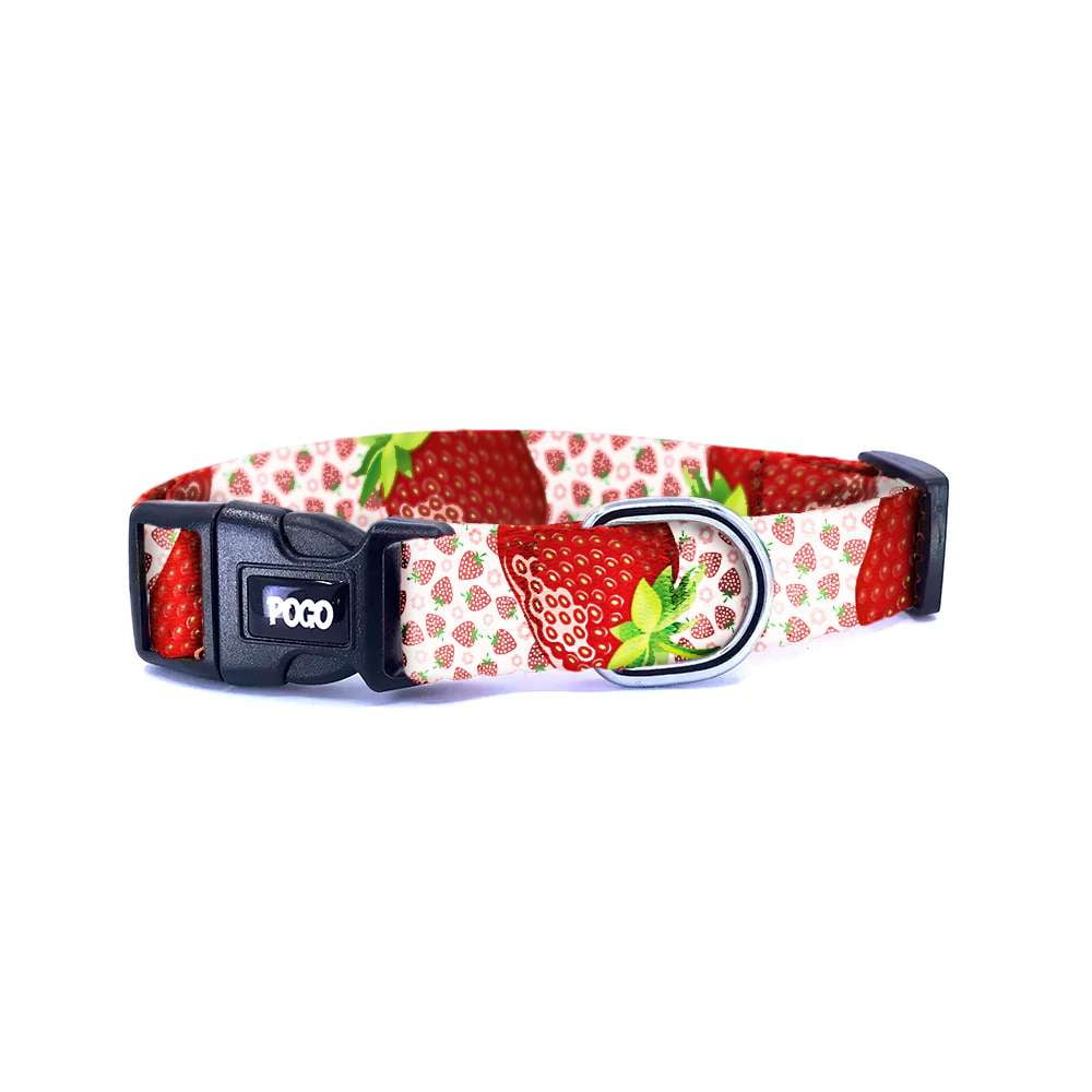 Strawberry | Köpek Tasması - Evcil hayvanlar için mükemmel bir ürün.